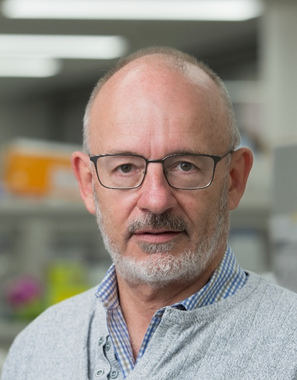 Prof Andrew Perkins