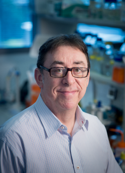 Prof Andrew Spencer