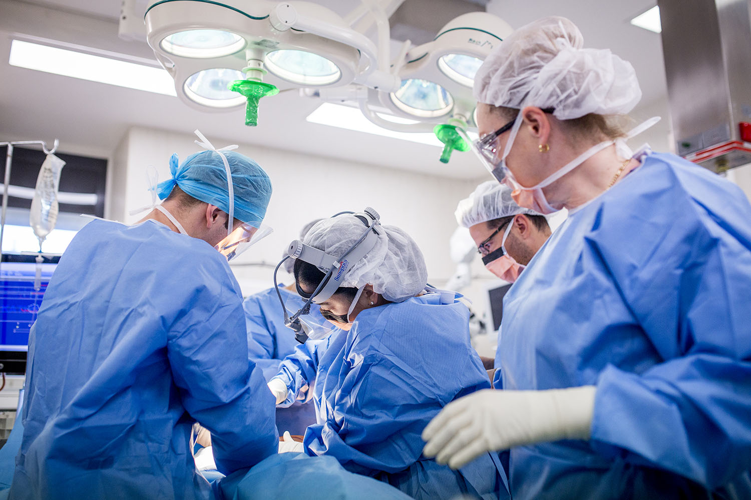Cardiac Anatomy Masterclass: Hands On & Imaging | Alfred Health