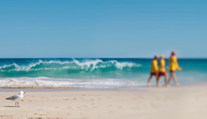 Victorian Melanoma Service clinical trials