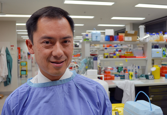 New treatment option for older patients with blood cancer New treatment option for older patients with blood cancer article image