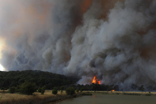 Bushfire smoke rises over Bunyip State Forest