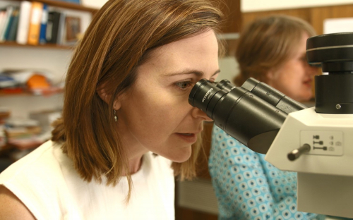 A/Prof Victoria Marlooking in a microscope