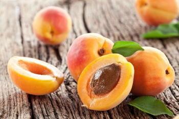 The truth about apricot kernels article image