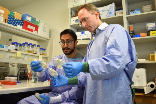 Head of Infectious Diseases Prof Anton Peleg and postdoctoral researcher Dr Fernando Gordillo Altamirano assess a laboratory sample together