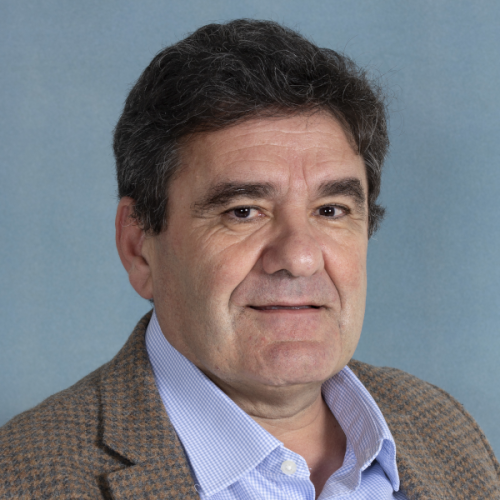 A/Prof Simon Stafrace