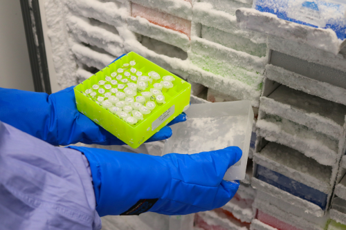 Scientist handling biospecimens in ABTB