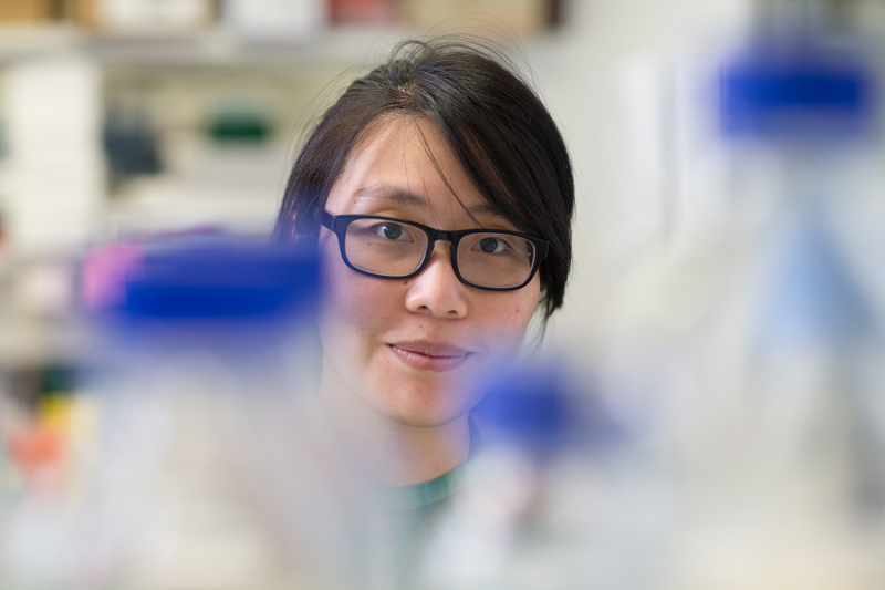 Researcher in lab