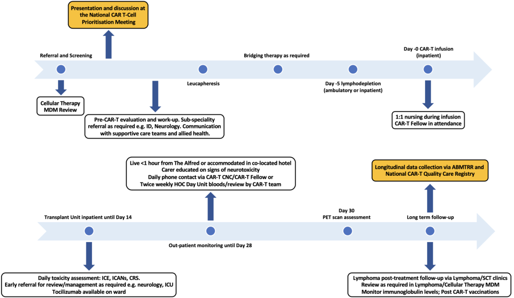 CAR-T treatment timeline
