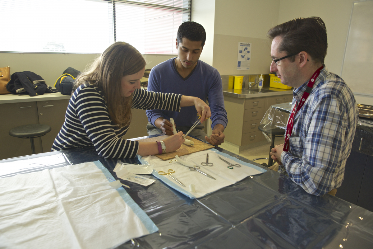 Surgical training