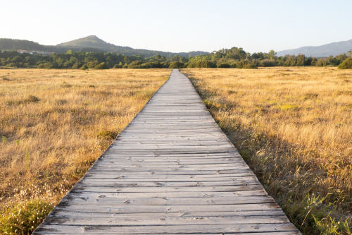 long wooden boardwalk cutting through a scenic, dry grassy landscape leading toward distant hills