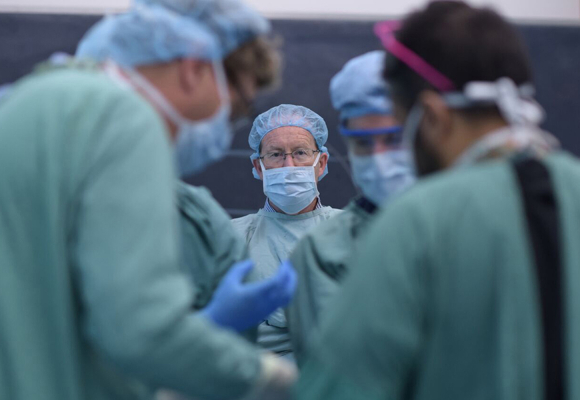 The Procedures Course 2024 article image