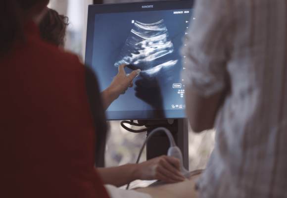 The Ultrasound Advanced Course 2024 article image